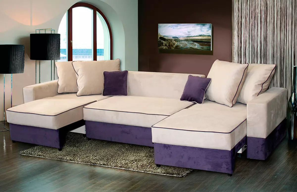 Katil sofa dengan tilam ortopedik: memilih untuk menggunakan harian roll-out dan sofa lipat dengan tilam musim bunga dan anatomi 8999_3