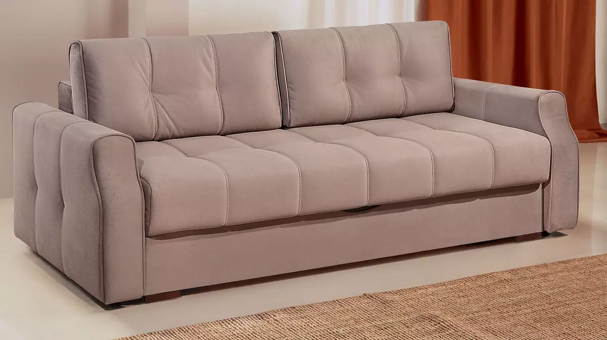 Katil sofa dengan tilam ortopedik: memilih untuk menggunakan harian roll-out dan sofa lipat dengan tilam musim bunga dan anatomi 8999_32