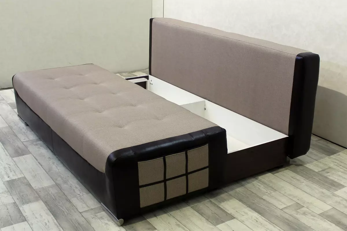 Giường sofa với một tấm nệm chỉnh hình: Chọn để sử dụng hàng ngày Sofa lăn và gấp ghế sofa với lò xo và nệm giải phẫu 8999_33
