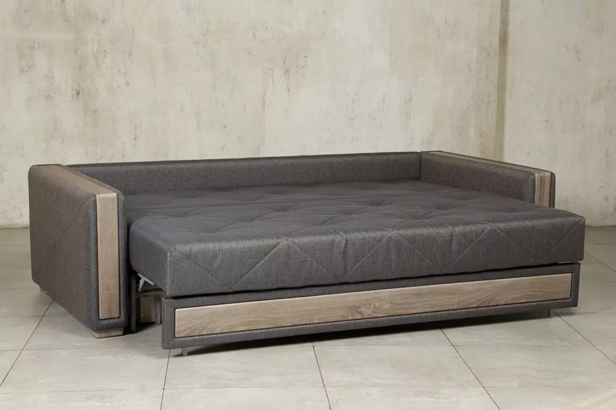 Giường sofa với một tấm nệm chỉnh hình: Chọn để sử dụng hàng ngày Sofa lăn và gấp ghế sofa với lò xo và nệm giải phẫu 8999_34