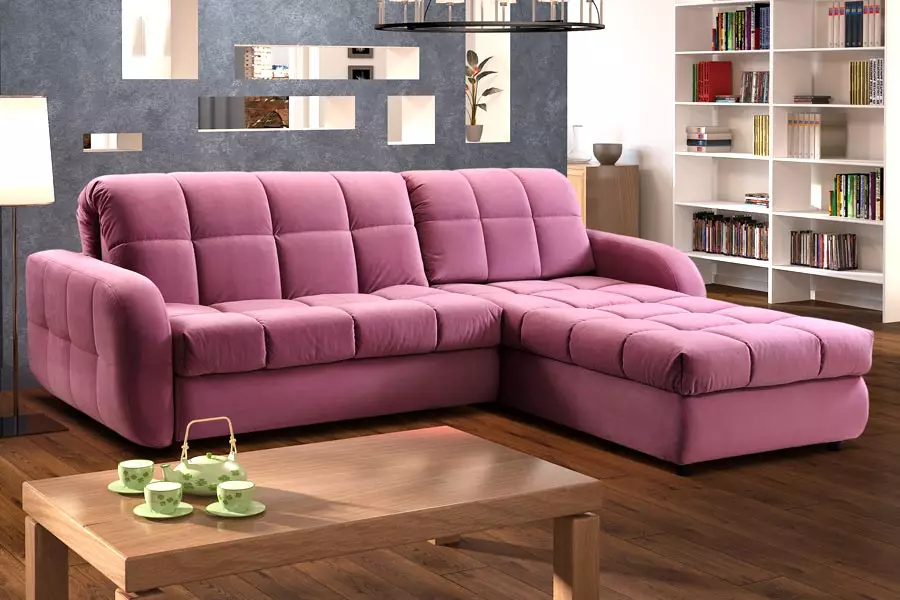 Giường sofa với một tấm nệm chỉnh hình: Chọn để sử dụng hàng ngày Sofa lăn và gấp ghế sofa với lò xo và nệm giải phẫu 8999_4