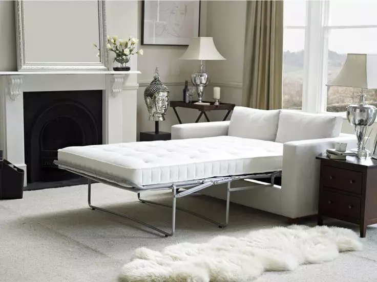Giường sofa với một tấm nệm chỉnh hình: Chọn để sử dụng hàng ngày Sofa lăn và gấp ghế sofa với lò xo và nệm giải phẫu 8999_46