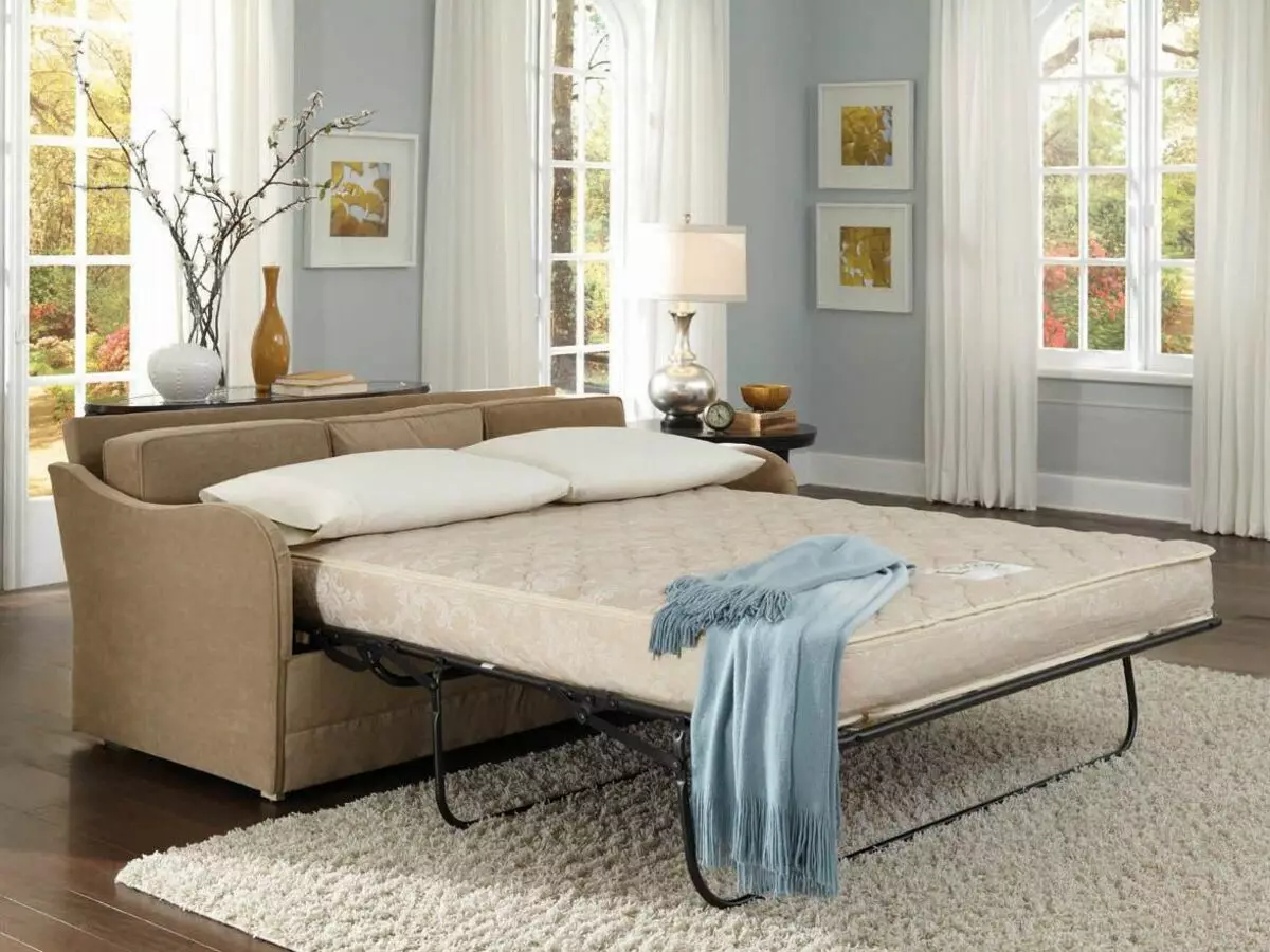 Giường sofa với một tấm nệm chỉnh hình: Chọn để sử dụng hàng ngày Sofa lăn và gấp ghế sofa với lò xo và nệm giải phẫu 8999_48