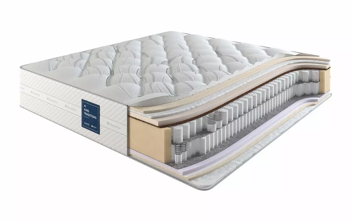 ऑर्थोपेडिक मॅट्रेससह सोफा बेड: वसंत ऋतु आणि अनैतिक गवत असलेल्या रोल-आउट आणि फोल्डिंग सोफासाठी निवडा 8999_54