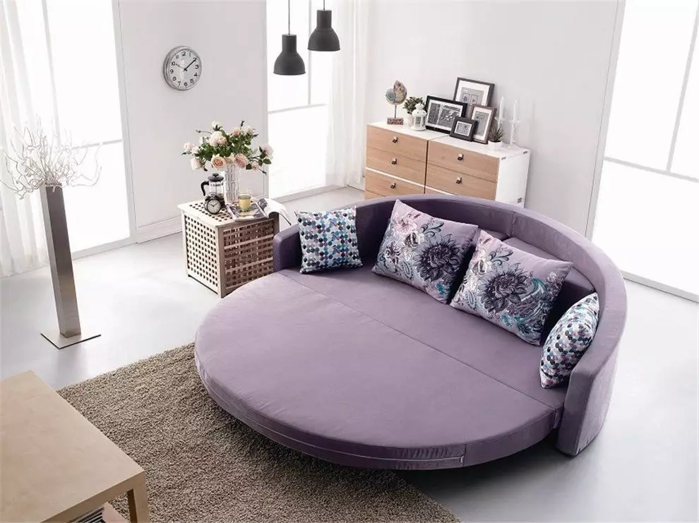 Katil sofa dengan tilam ortopedik: memilih untuk menggunakan harian roll-out dan sofa lipat dengan tilam musim bunga dan anatomi 8999_60
