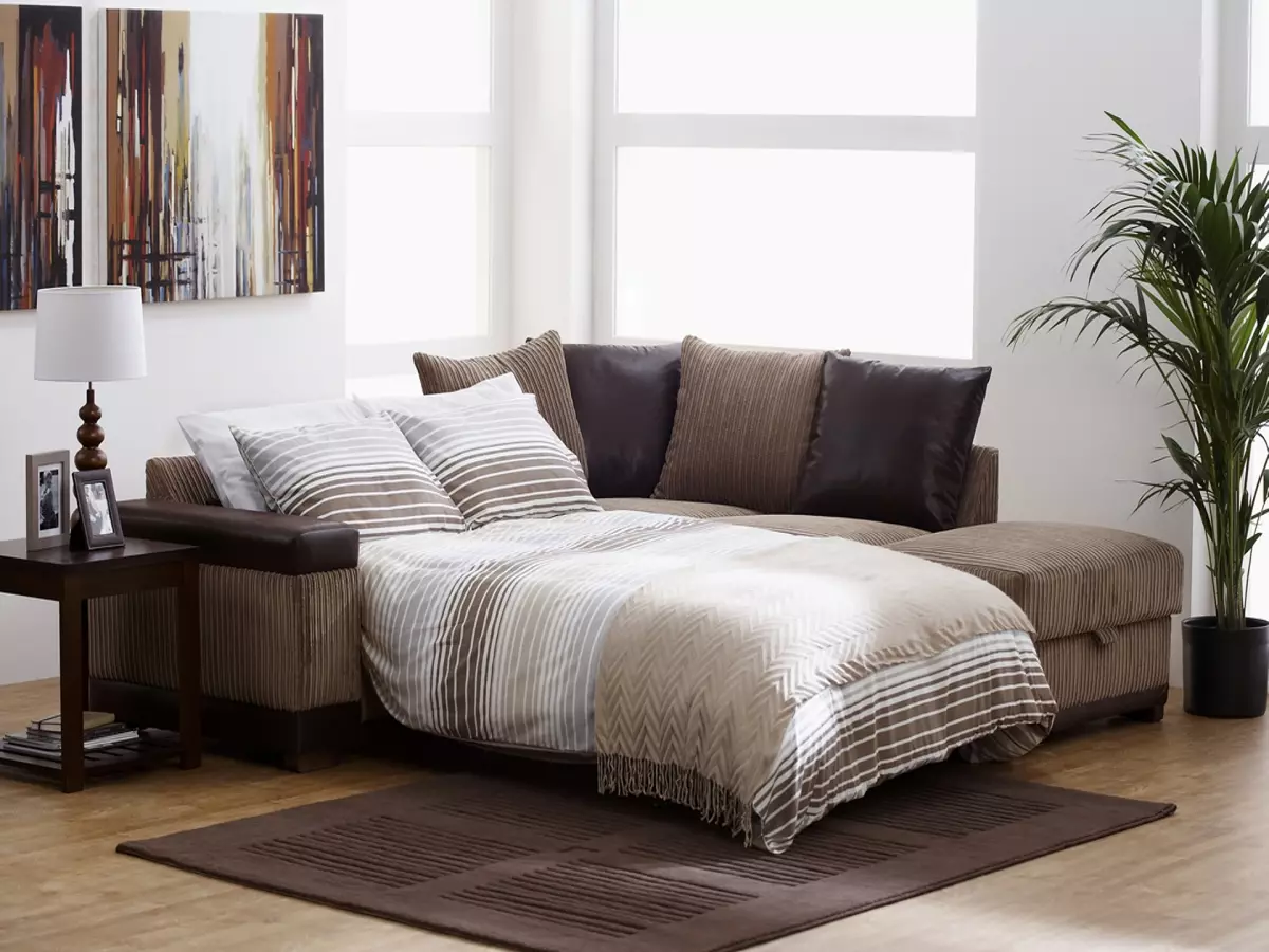 Giường sofa với một tấm nệm chỉnh hình: Chọn để sử dụng hàng ngày Sofa lăn và gấp ghế sofa với lò xo và nệm giải phẫu 8999_62