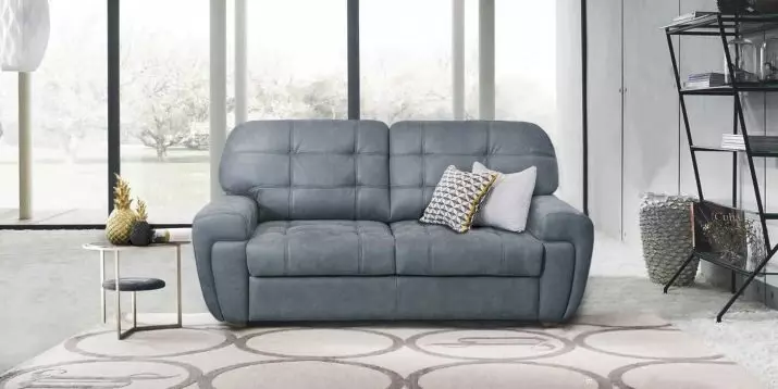 Katil sofa dengan tilam ortopedik: memilih untuk menggunakan harian roll-out dan sofa lipat dengan tilam musim bunga dan anatomi 8999_67