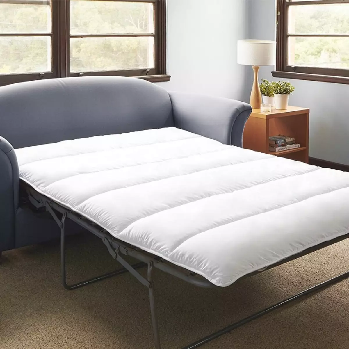 沙發床配有矯形床墊：選擇日常使用帶彈簧和解剖床墊的滾動和折疊沙發 8999_7