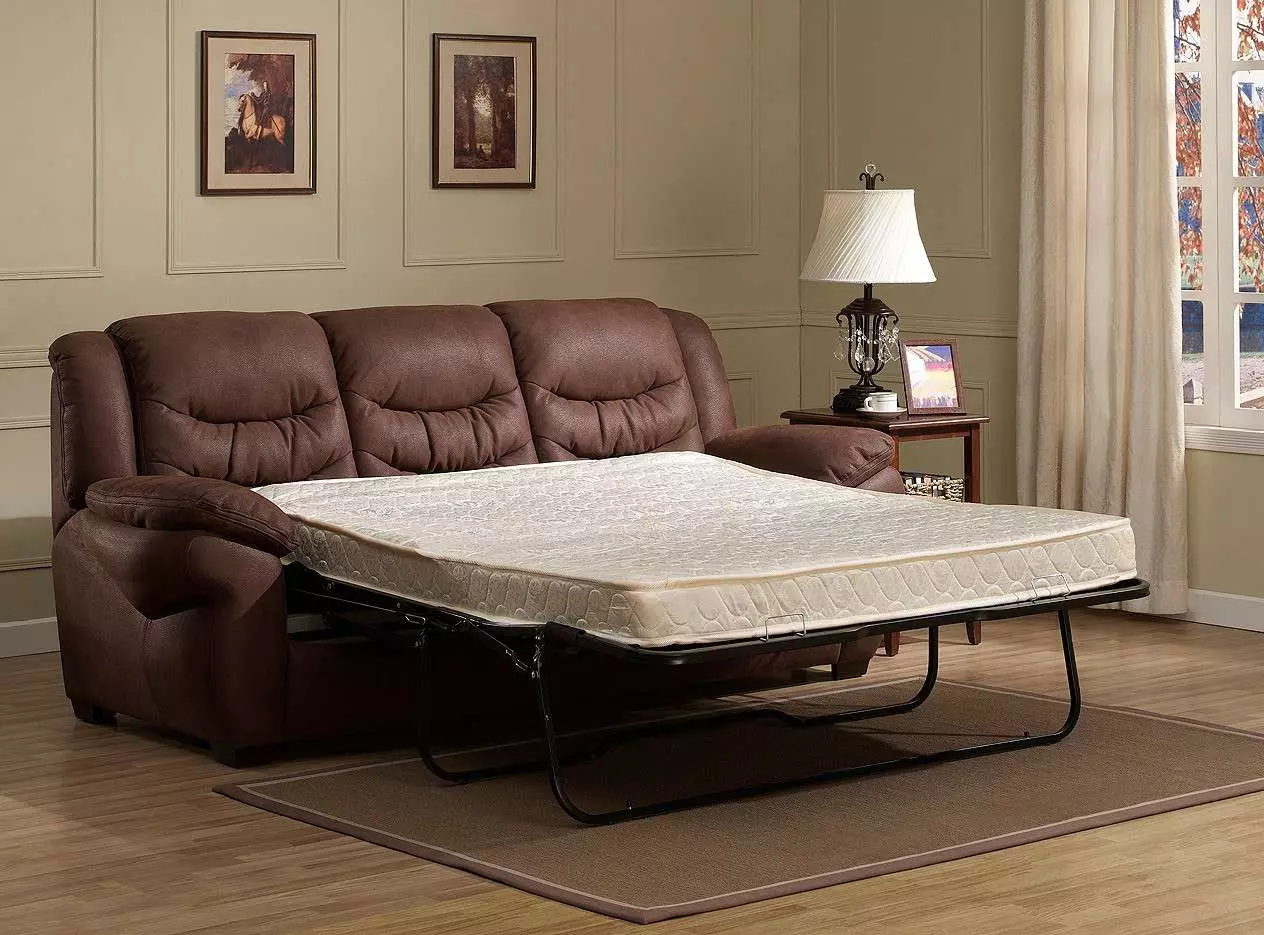 Katil sofa dengan tilam ortopedik: memilih untuk menggunakan harian roll-out dan sofa lipat dengan tilam musim bunga dan anatomi 8999_72