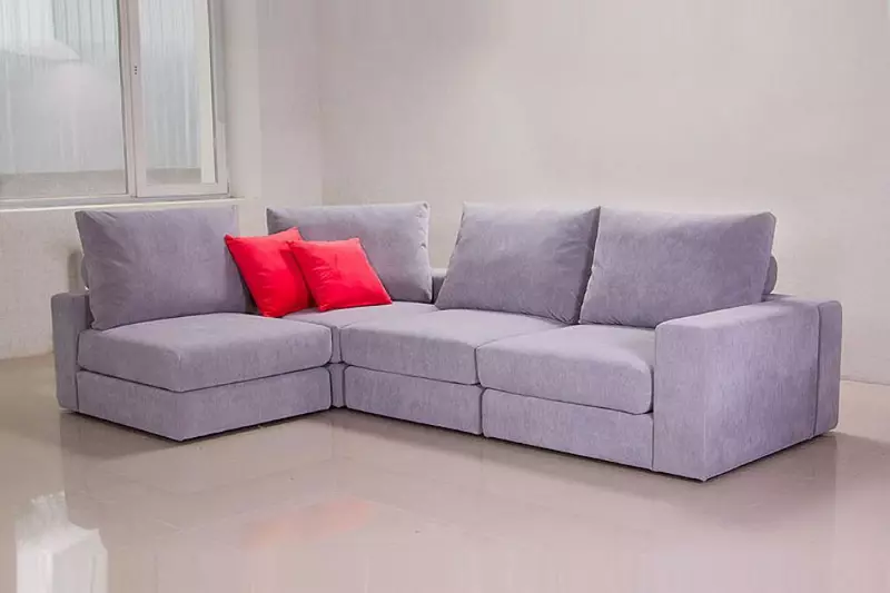 Giường sofa với một tấm nệm chỉnh hình: Chọn để sử dụng hàng ngày Sofa lăn và gấp ghế sofa với lò xo và nệm giải phẫu 8999_85