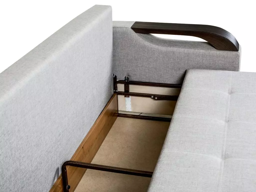 Katil sofa dengan tilam ortopedik: memilih untuk menggunakan harian roll-out dan sofa lipat dengan tilam musim bunga dan anatomi 8999_88