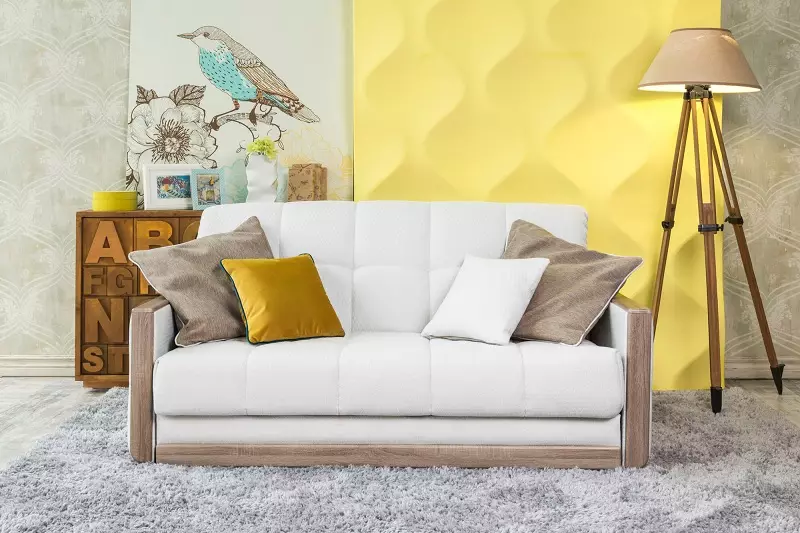 Como escolher um sofá? 62 Foto melhor soft sofás para casa, onde há um gato, conselhos especializados em um sofá sólido para sono constante 9001_10