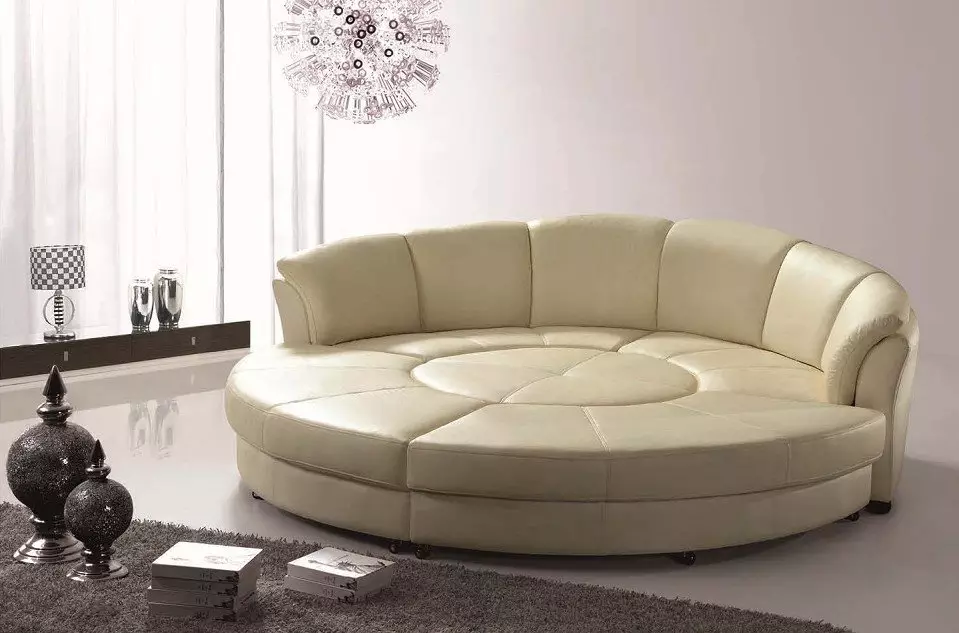 Como escolher um sofá? 62 Foto melhor soft sofás para casa, onde há um gato, conselhos especializados em um sofá sólido para sono constante 9001_11