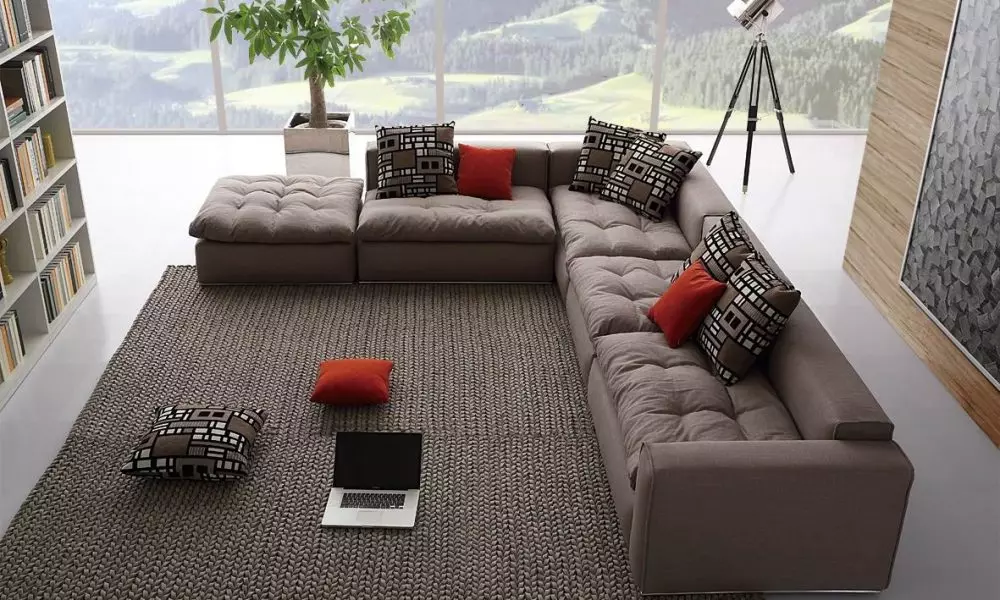 Bagaimana untuk memilih sofa? 62 Foto Sofa Soft Terbaik untuk Rumah, Di mana terdapat kucing, nasihat pakar mengenai sofa pepejal untuk tidur yang berterusan 9001_35
