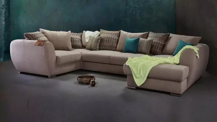Bagaimana untuk memilih sofa? 62 Foto Sofa Soft Terbaik untuk Rumah, Di mana terdapat kucing, nasihat pakar mengenai sofa pepejal untuk tidur yang berterusan 9001_57