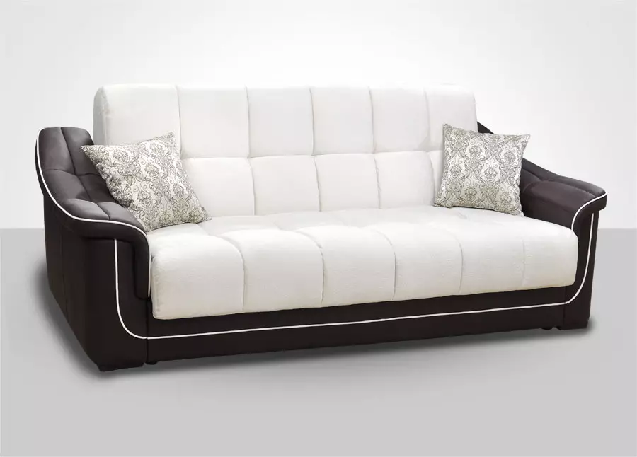 Bagaimana untuk memilih sofa? 62 Foto Sofa Soft Terbaik untuk Rumah, Di mana terdapat kucing, nasihat pakar mengenai sofa pepejal untuk tidur yang berterusan 9001_59