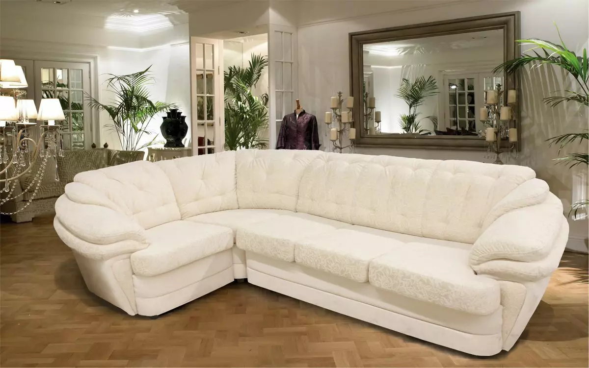 Bagaimana untuk memilih sofa? 62 Foto Sofa Soft Terbaik untuk Rumah, Di mana terdapat kucing, nasihat pakar mengenai sofa pepejal untuk tidur yang berterusan 9001_61