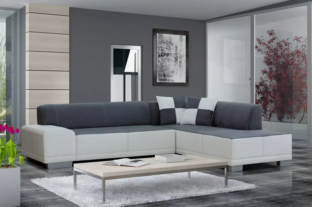 Nenaudojamos sofos: dvigubos tiesios ir kampinės sofos, kiti neregistruojantys miego ir poilsio modeliai 9003_12