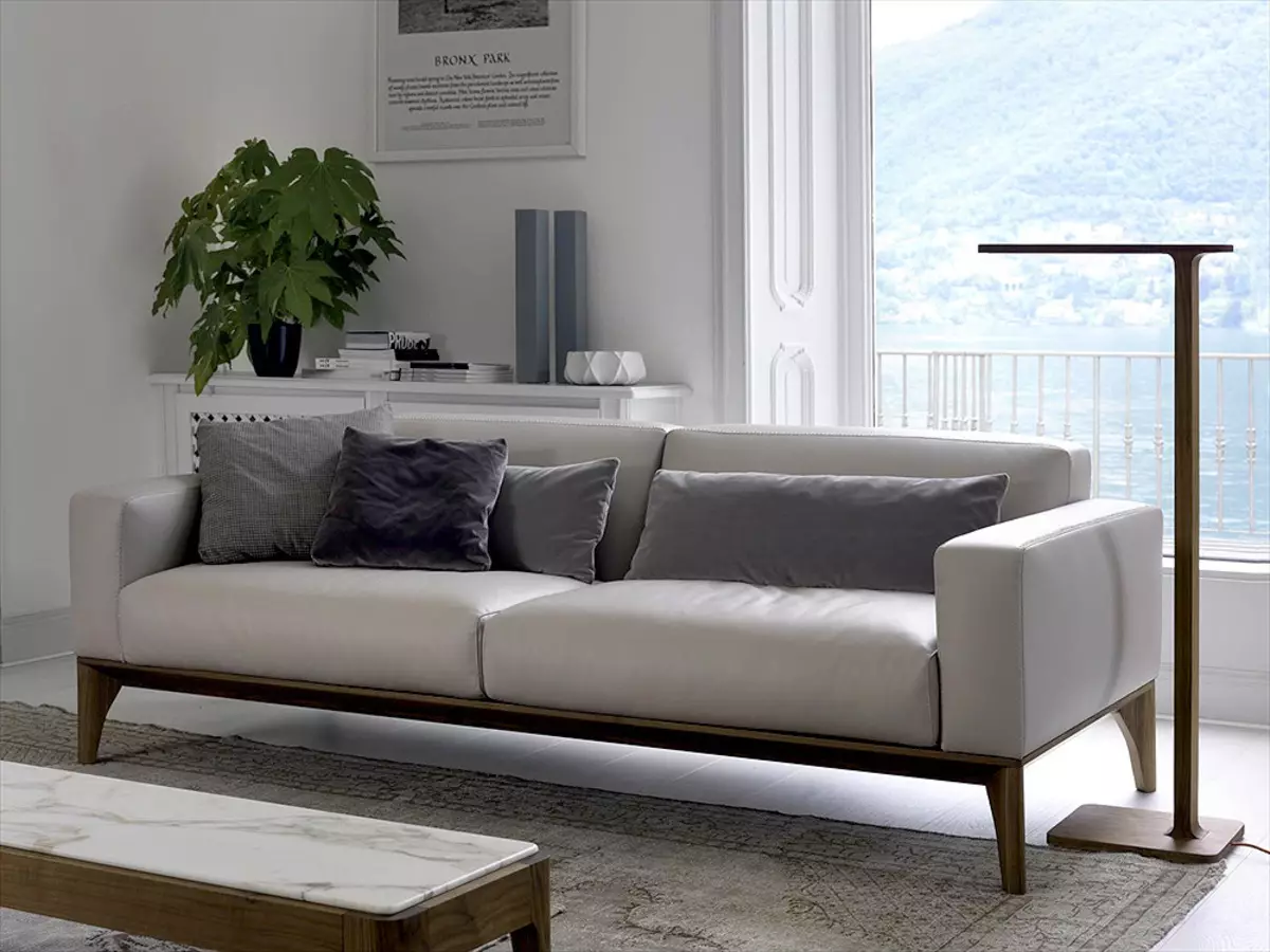 Нерозкладні дивани: двомісний прямий і кутовий дивани, інші не розкладаються моделі для сну і відпочинку 9003_26
