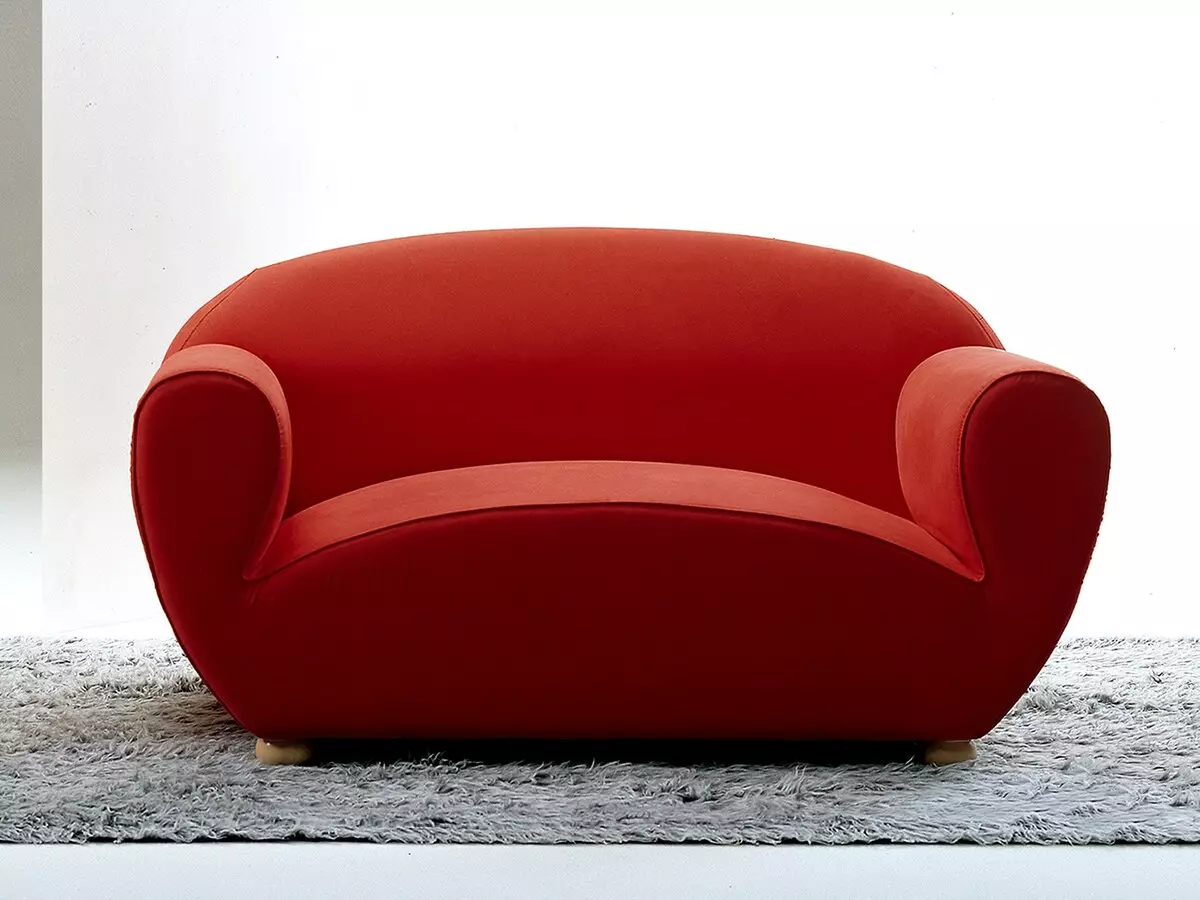 Sofa non-stabil: sofa lurus dan sudut ganda, model lain yang tidak dapat ditandatangani untuk tidur dan rekreasi 9003_29