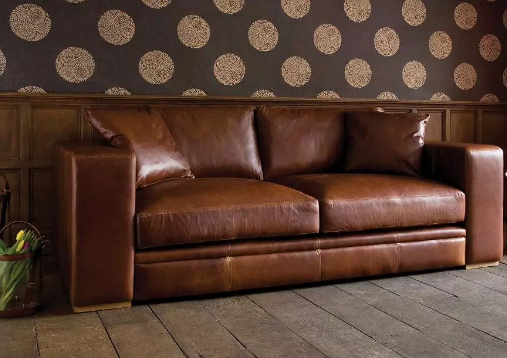 Nenaudojamos sofos: dvigubos tiesios ir kampinės sofos, kiti neregistruojantys miego ir poilsio modeliai 9003_36