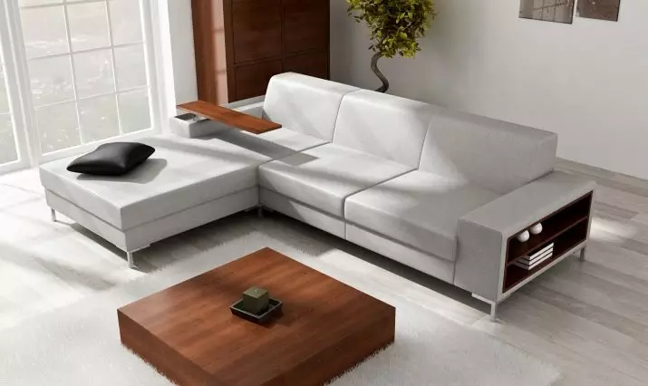 Нерозкладні дивани: двомісний прямий і кутовий дивани, інші не розкладаються моделі для сну і відпочинку 9003_37