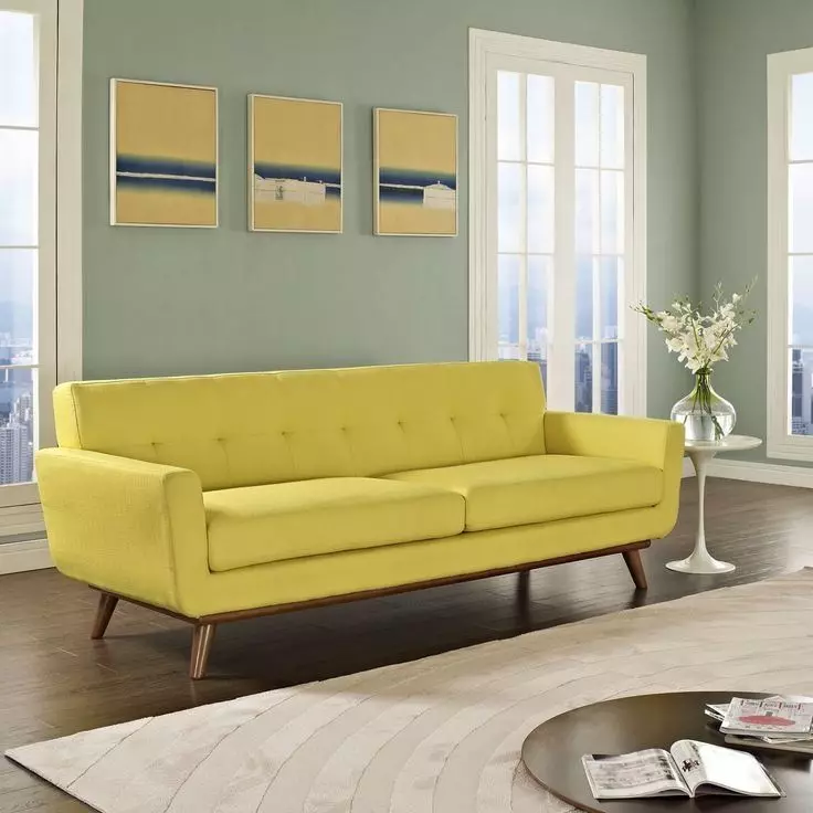 Sofa non-stabil: sofa lurus dan sudut ganda, model lain yang tidak dapat ditandatangani untuk tidur dan rekreasi 9003_7