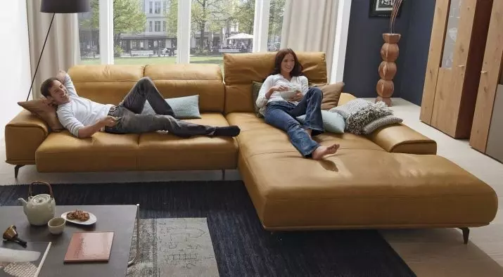 Labākie dīvāni ikdienas miegam: miega modeļu vērtējums katru dienu. Top uzņēmumi. Klientu atsauksmes 9005_14