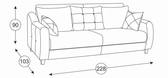 Οι καλύτερες καναπέδες για την καθημερινή του ύπνου: Αξιολόγηση των μοντέλων για ύπνο για κάθε μέρα. Top επιχειρήσεις. Κριτικές πελατών 9005_39