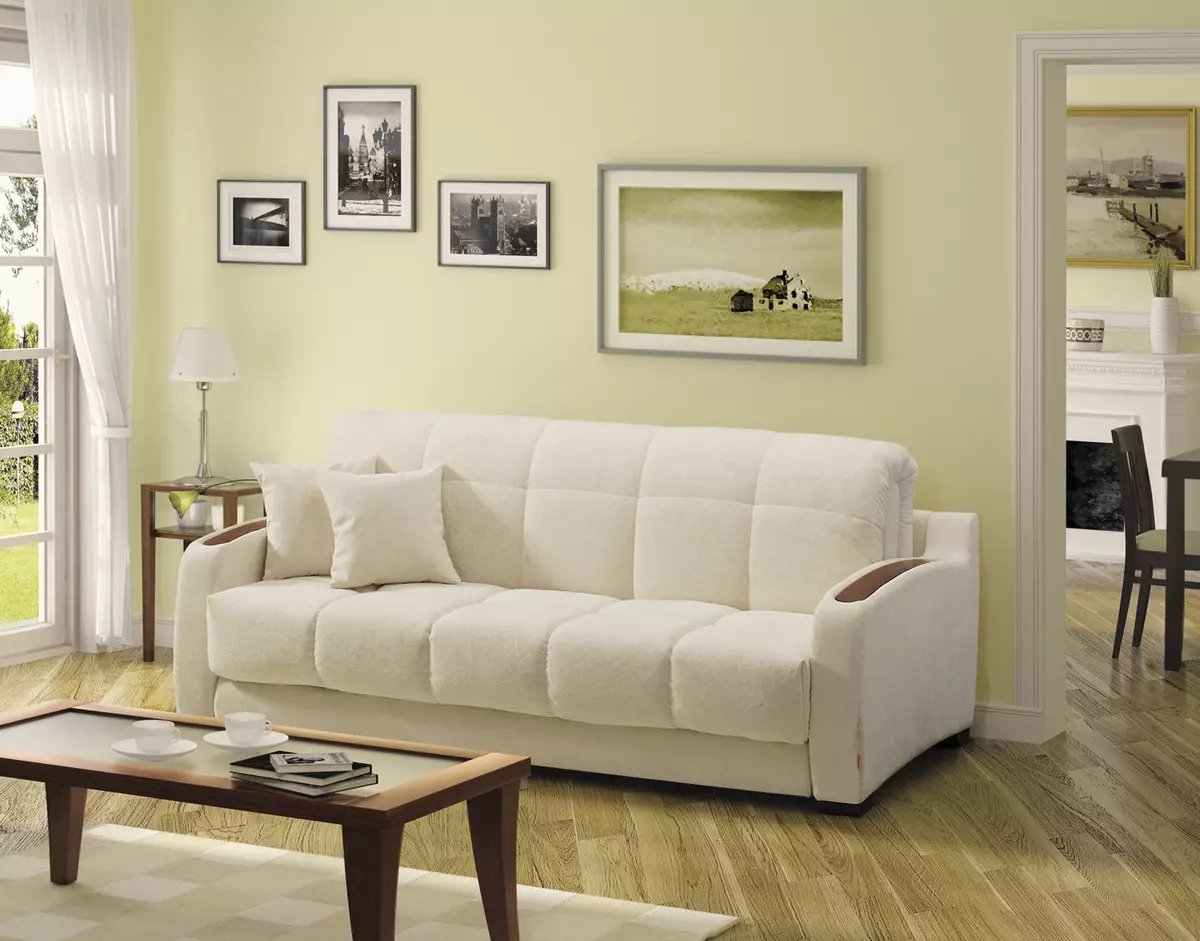 Tilepan Double Sofas: ukuran, milih hiji sofa tilepan 2-seater 9015_10