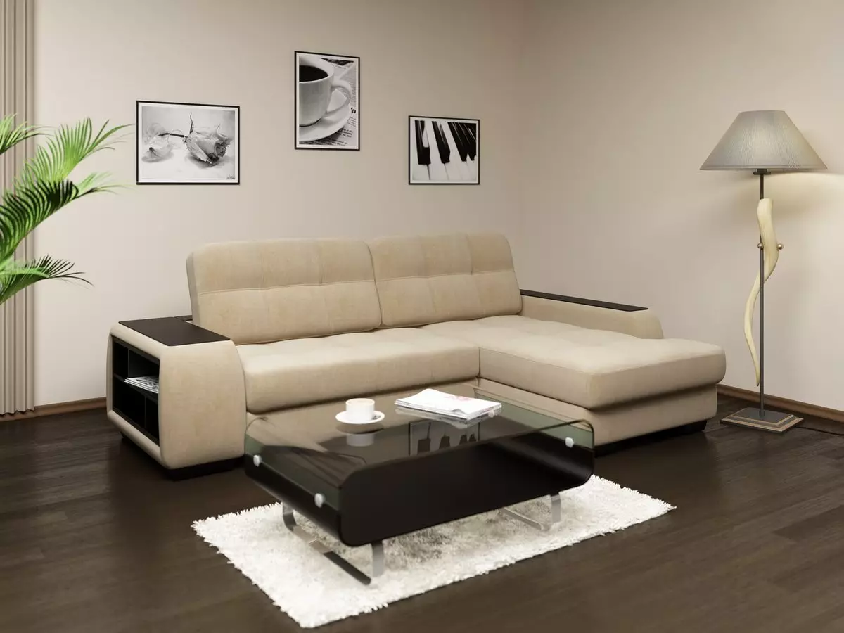 Tilepan Double Sofas: ukuran, milih hiji sofa tilepan 2-seater 9015_12