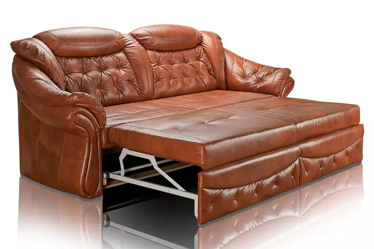 I-Direct Sofas nge-Dolphin Mechanism (izithombe ezingama-58): Ukubuka konke kwamamodeli okukhishwa ngamabhokisi elineni nemibhede, izinzuzo kanye nokubi kwefenisha, imibala ye-topical nendawo yokuhlala ngaphakathi 9018_30