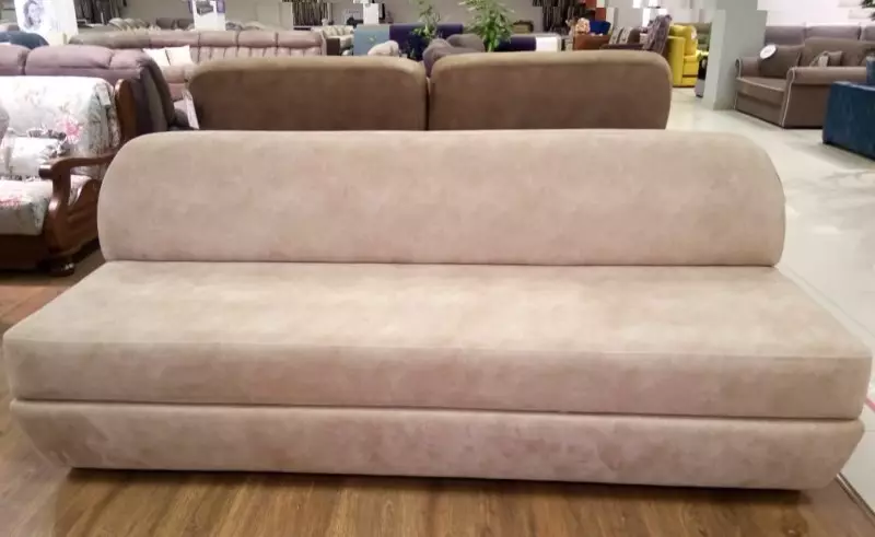 I-Direct Sofas nge-Dolphin Mechanism (izithombe ezingama-58): Ukubuka konke kwamamodeli okukhishwa ngamabhokisi elineni nemibhede, izinzuzo kanye nokubi kwefenisha, imibala ye-topical nendawo yokuhlala ngaphakathi 9018_49