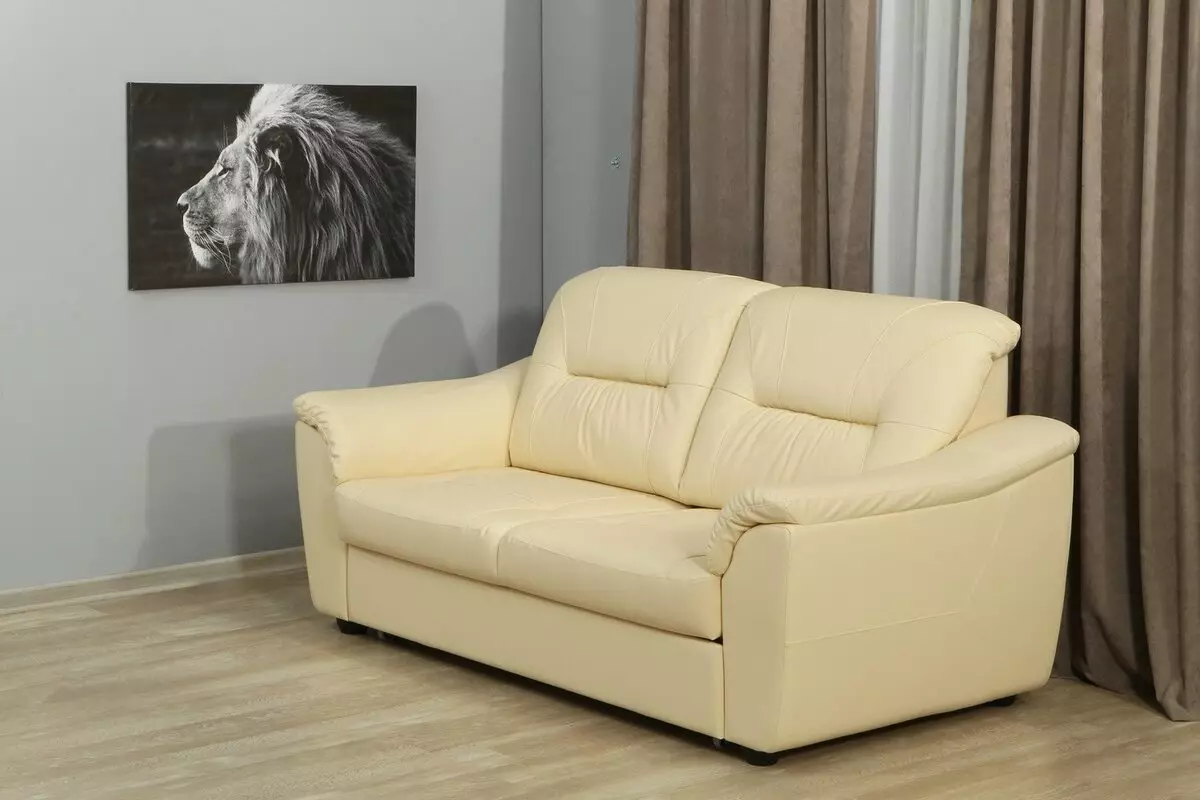 I-Direct Sofas nge-Dolphin Mechanism (izithombe ezingama-58): Ukubuka konke kwamamodeli okukhishwa ngamabhokisi elineni nemibhede, izinzuzo kanye nokubi kwefenisha, imibala ye-topical nendawo yokuhlala ngaphakathi 9018_5