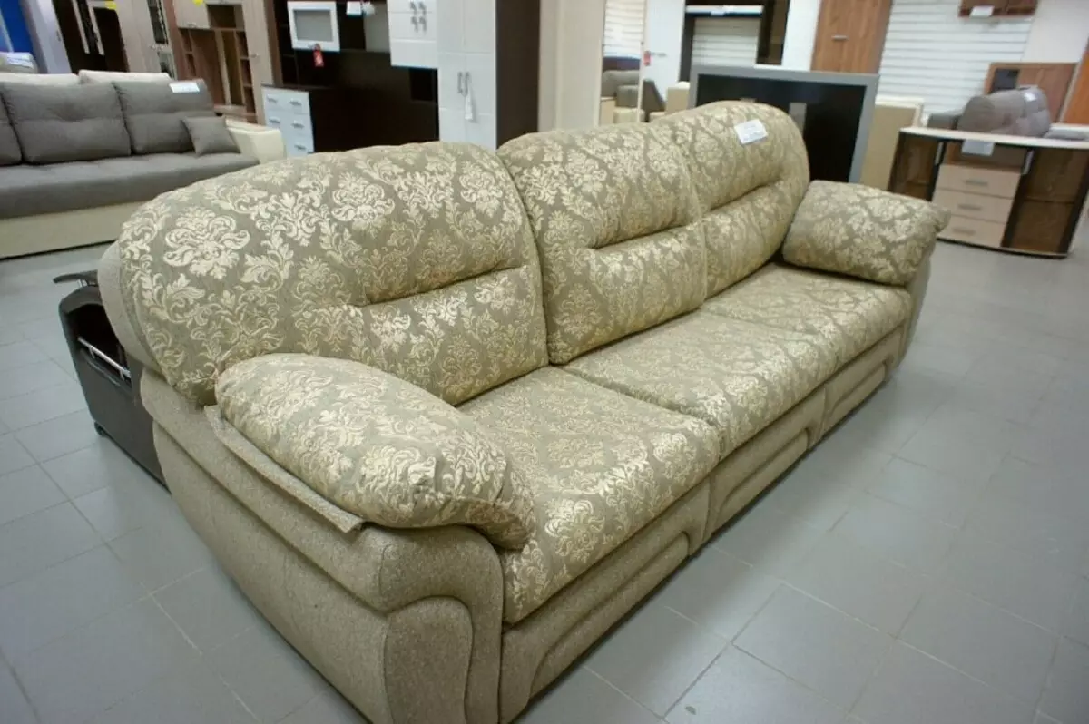 I-Direct Sofas nge-Dolphin Mechanism (izithombe ezingama-58): Ukubuka konke kwamamodeli okukhishwa ngamabhokisi elineni nemibhede, izinzuzo kanye nokubi kwefenisha, imibala ye-topical nendawo yokuhlala ngaphakathi 9018_53