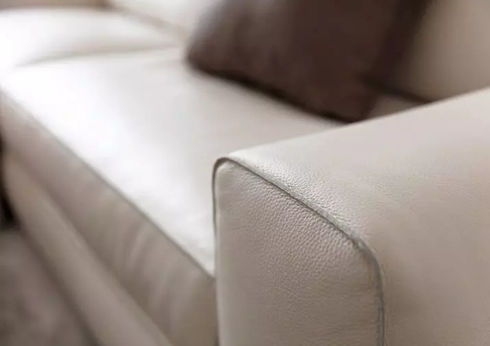 Качествени дивани: рейтинг на качествени дивани. Как да изберем удобен сън? Най-добрите фабрики за мебели на Русия и други страни 9020_10