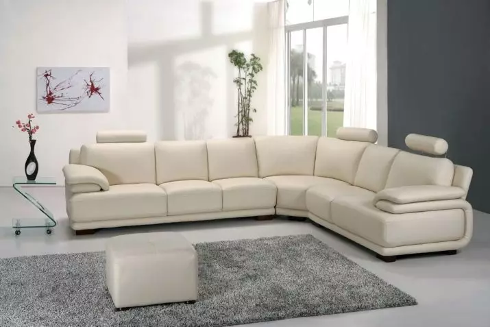 Качествени дивани: рейтинг на качествени дивани. Как да изберем удобен сън? Най-добрите фабрики за мебели на Русия и други страни 9020_19