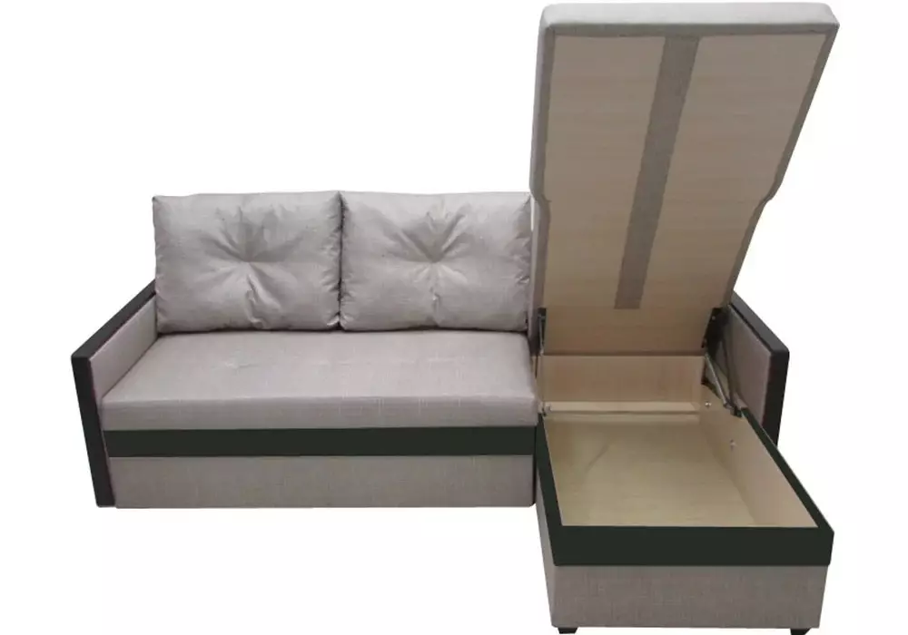 Hjørne sofaer med delfin mekanisme: en sovesofa med et stort soveplass og uten armlener, i stil med moderne og andre 9028_28