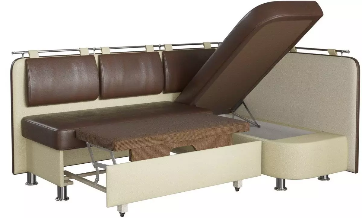 Hjørne sofaer med delfin mekanisme: en sovesofa med et stort soveplass og uten armlener, i stil med moderne og andre 9028_31