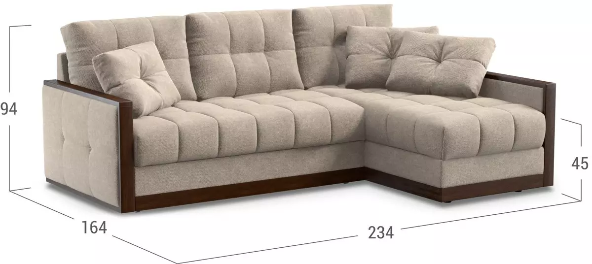 Kaum sofas nrog Dolphin Mechanism: Lub rooj zaum txaj nrog lub qhov chaw pw thiab tsis muaj armrests, hauv cov style ntawm niaj hnub thiab lwm yam 9028_39