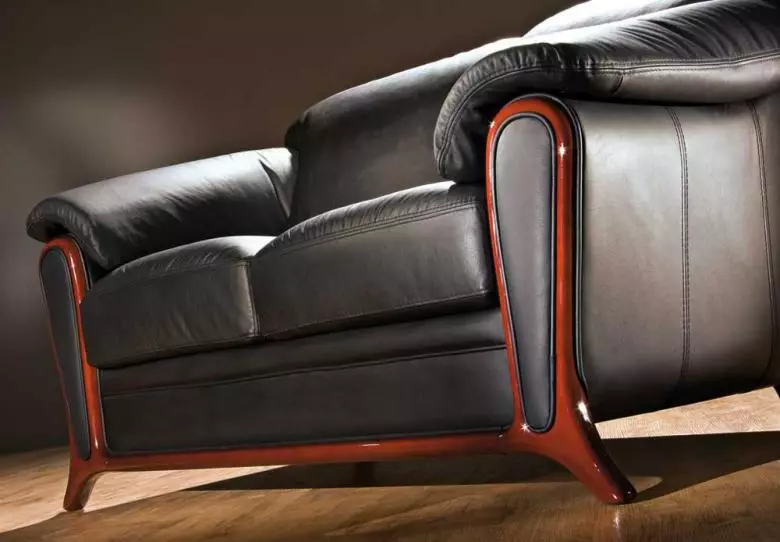Armrests સાથે સોફા: એક અને બે સાંકડી અને વિશાળ armrests, નરમ, armrests - બોક્સ, પાતળા અને ફોલ્ડિંગ, દૂર કરી શકાય તેવી અને સ્થિર સાથે મોડેલ્સની સમીક્ષા 9031_14