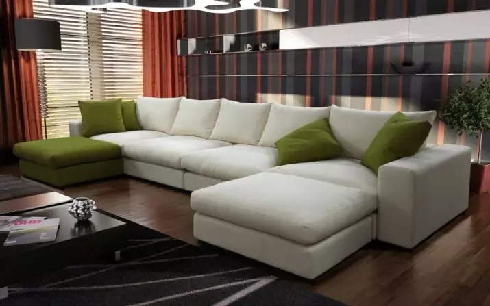 Sofa dengan sandaran tangan: tinjauan model dengan satu dan dua sandaran tangan sempit dan lebar, lembut, sandaran tangan - kotak, tipis dan lipat, dapat dilepas dan stasioner 9031_20