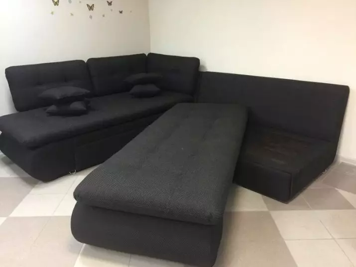 Kalite Sofa (65 foto): Ki sa ki genyen nenpòt varyete ranpli ak konsepsyon? Ki sa ki karakteristik yo? 9035_52