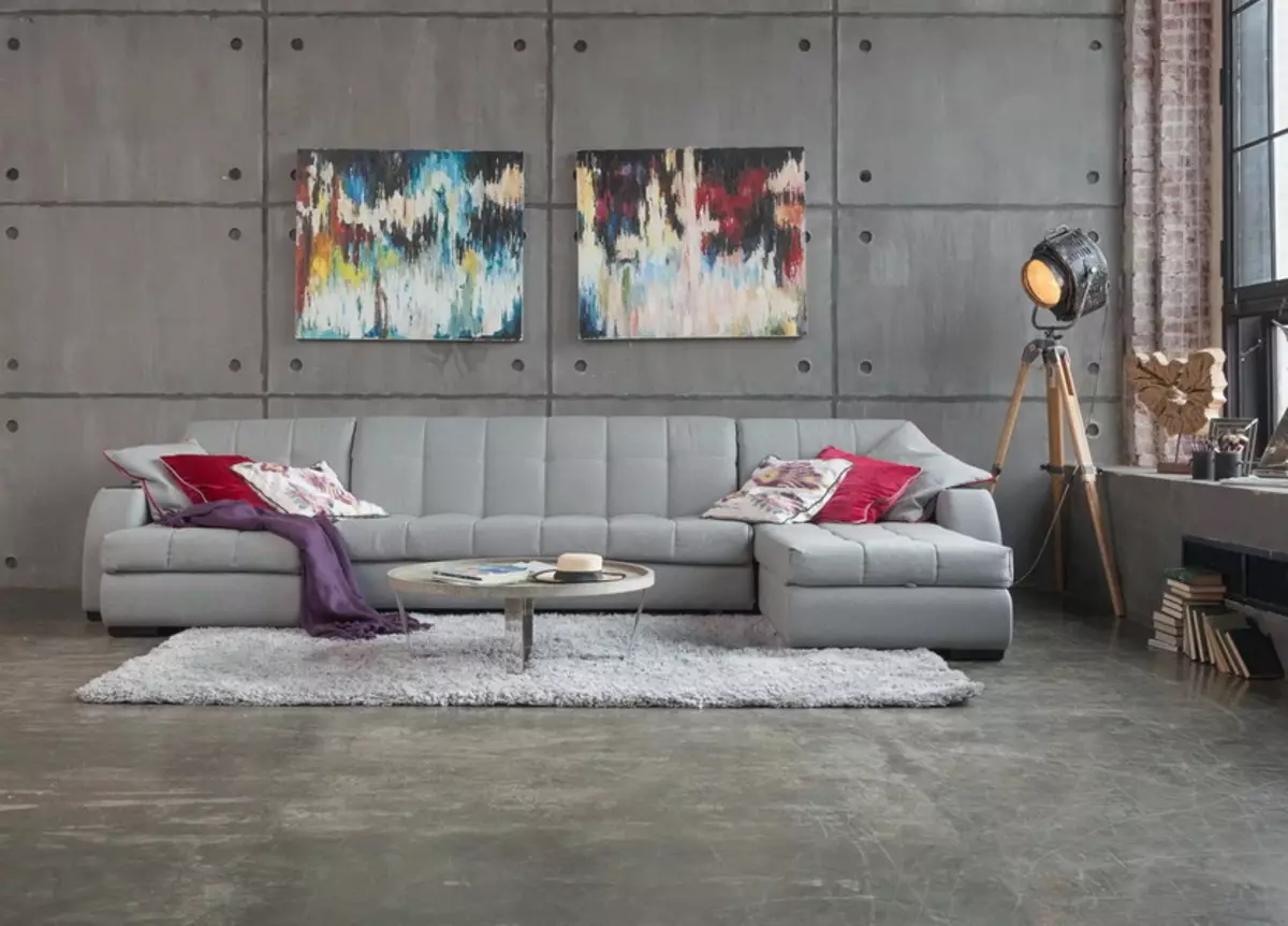 De beste sofa's fabrikanten in Rusland: een lijst met designmeubels van de Russische productie en een beoordeling van meubelfabrieken 9036_21
