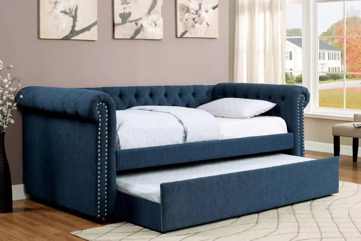 De beste sofa's fabrikanten in Rusland: een lijst met designmeubels van de Russische productie en een beoordeling van meubelfabrieken 9036_39
