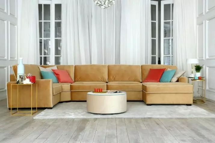 De beste sofa's fabrikanten in Rusland: een lijst met designmeubels van de Russische productie en een beoordeling van meubelfabrieken 9036_50