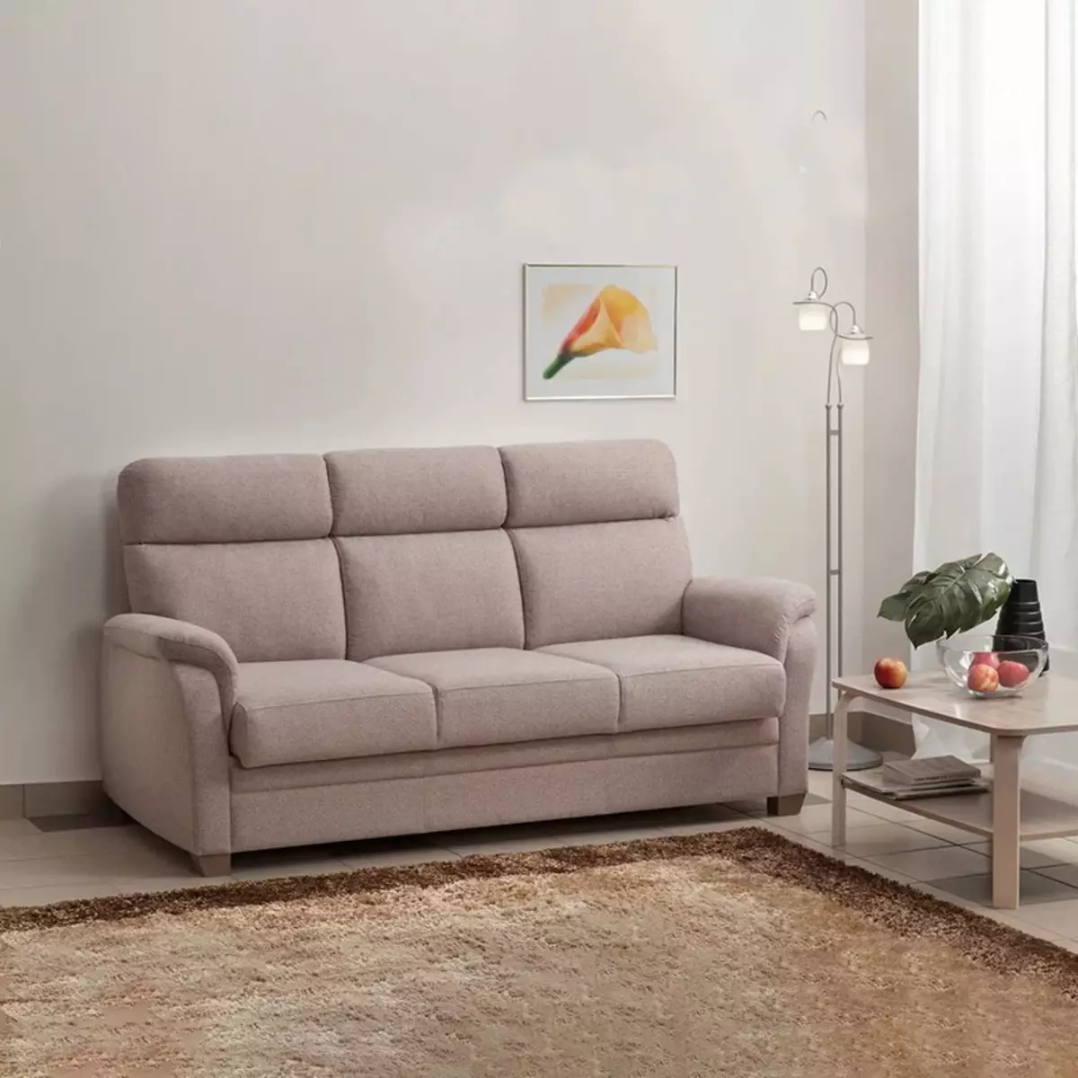 De beste sofa's fabrikanten in Rusland: een lijst met designmeubels van de Russische productie en een beoordeling van meubelfabrieken 9036_6