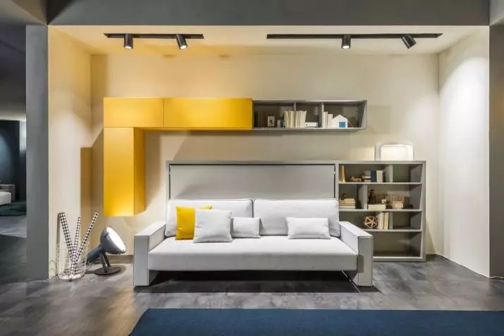 Transformador de sofá em um beliche: Escolha um transformador de dois andares para um apartamento de tamanho pequeno 9041_53