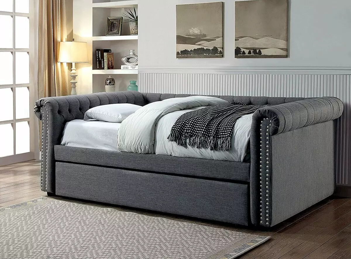Sulankstoma dvigulė sofa: pasirinkite lovos transformatoriaus lova, stumdomas ir su kėlimo mechanizmu 9046_24