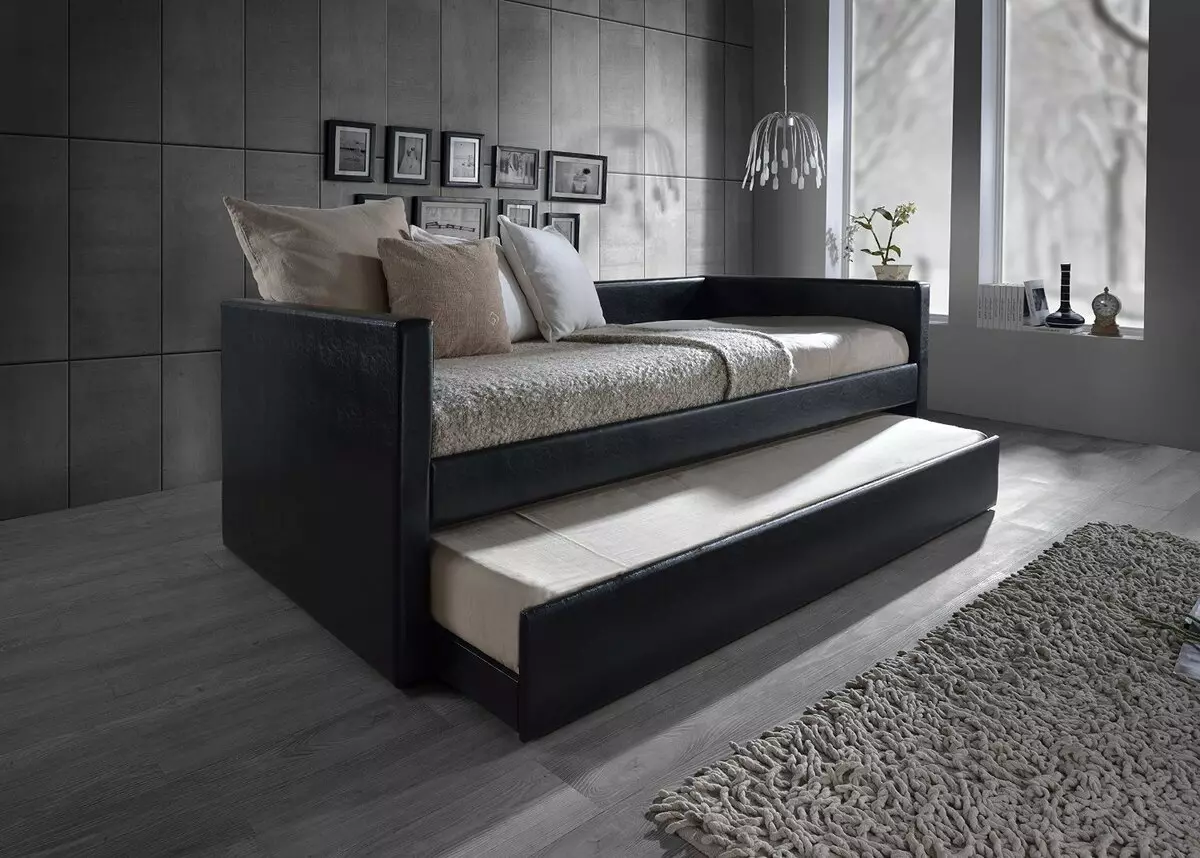 Zložljiva dvojna kavč: Izberite posteljo, drsenje in z dvižnim mehanizmom 9046_3